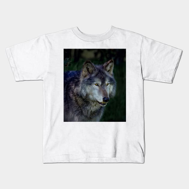 The Night of The Wolf Kids T-Shirt by Tarrby